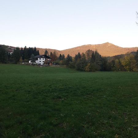 Ferienwohnung Traummichel Lam Esterno foto